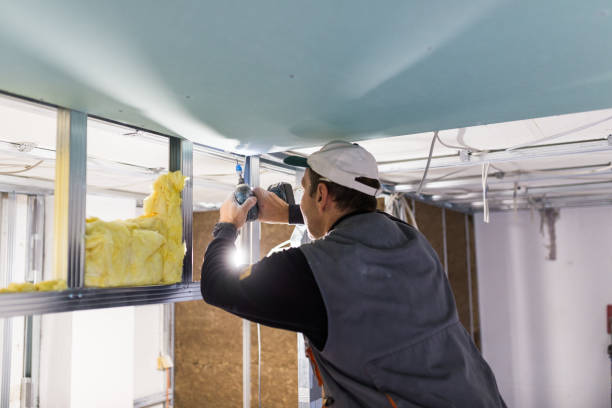 Best Affordable Insulation Services  in Pasadena, TX