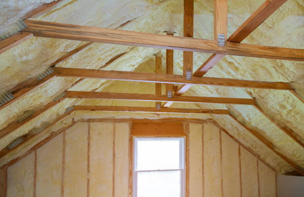 Best Insulation for New Construction  in Pasadena, TX