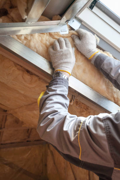Best Energy-efficient Insulation  in Pasadena, TX