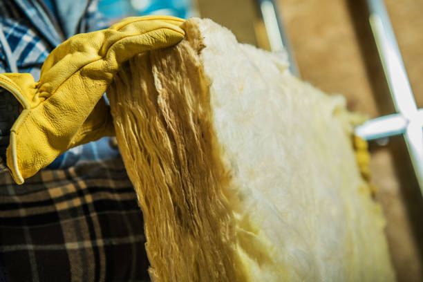 Best Insulation Contractor Near Me  in Pasadena, TX