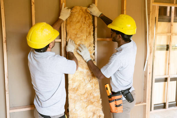 Best Cellulose Insulation  in Pasadena, TX