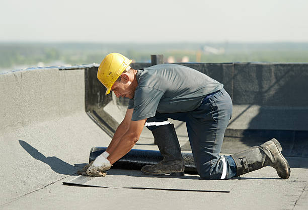 Best Energy-efficient Insulation  in Pasadena, TX