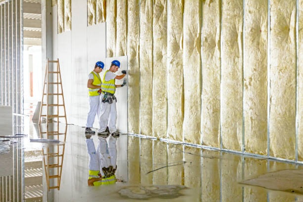 Best Spray Foam Insulation  in Pasadena, TX